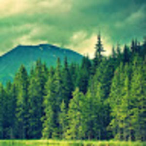 Meet your Posher, Michaela